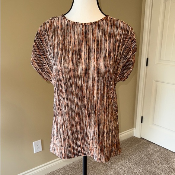 TanJay Tops - TanJay Blouse Brown Pleated Cap Sleeve Top Shirt Women's Size